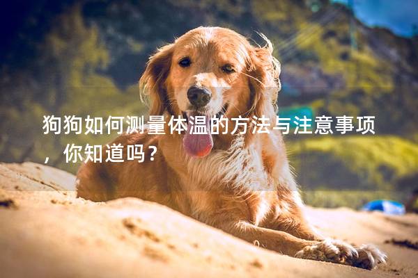 狗狗如何测量体温的方法与注意事项，你知道吗？