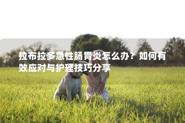 拉布拉多急性肠胃炎怎么办？如何有效应对与护理技巧分享