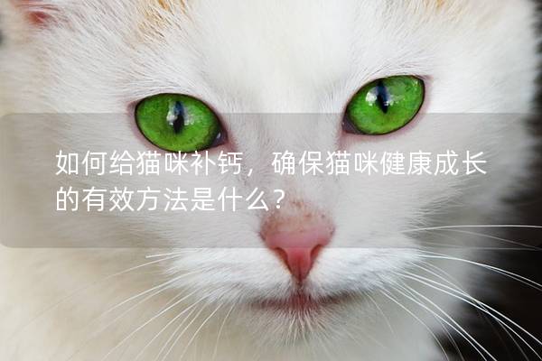 如何给猫咪补钙，确保猫咪健康成长的有效方法是什么？