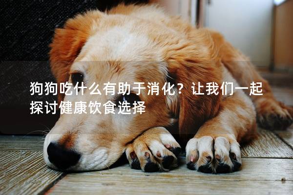 狗狗吃什么有助于消化？让我们一起探讨健康饮食选择