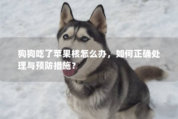 狗狗吃了苹果核怎么办，如何正确处理与预防措施？