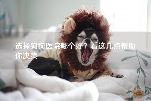 选择狗狗医院哪个好？看这几点帮助你决策