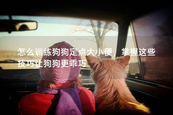 怎么训练狗狗定点大小便，掌握这些技巧让狗狗更乖巧