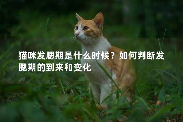 猫咪发腮期是什么时候？如何判断发腮期的到来和变化