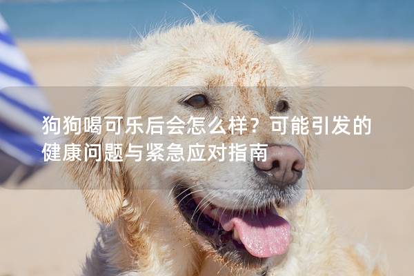 狗狗喝可乐后会怎么样？可能引发的健康问题与紧急应对指南