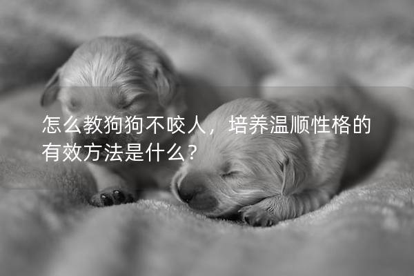 怎么教狗狗不咬人，培养温顺性格的有效方法是什么？
