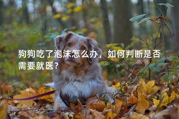 狗狗吃了泡沫怎么办，如何判断是否需要就医？