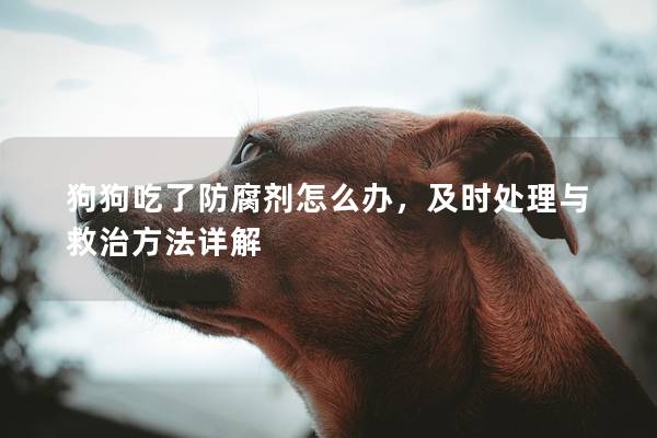 狗狗吃了防腐剂怎么办，及时处理与救治方法详解