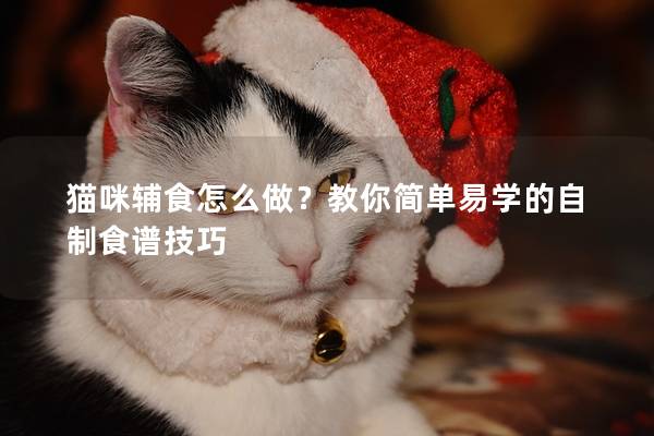 猫咪辅食怎么做？教你简单易学的自制食谱技巧