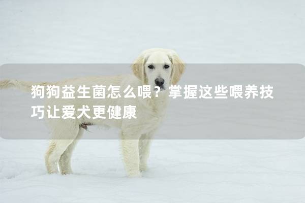 狗狗益生菌怎么喂？掌握这些喂养技巧让爱犬更健康