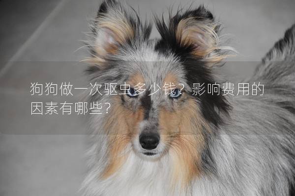 狗狗做一次驱虫多少钱？影响费用的因素有哪些？