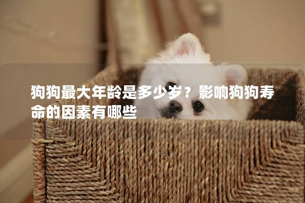 狗狗最大年龄是多少岁？影响狗狗寿命的因素有哪些