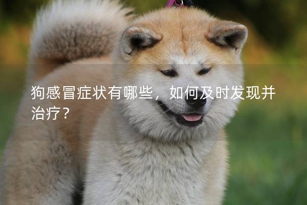狗感冒症状有哪些，如何及时发现并治疗？