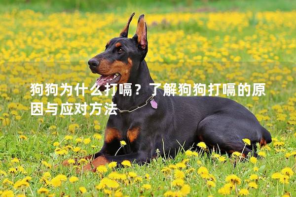 狗狗为什么打嗝？了解狗狗打嗝的原因与应对方法
