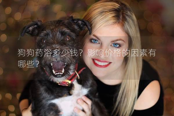 狗狗药浴多少钱？影响价格的因素有哪些？