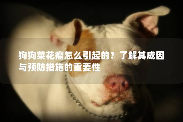 狗狗菜花瘤怎么引起的？了解其成因与预防措施的重要性