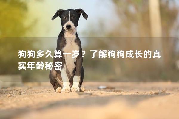 狗狗多久算一岁？了解狗狗成长的真实年龄秘密