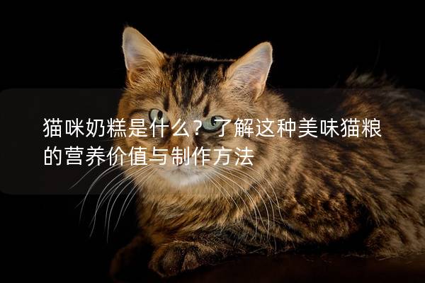 猫咪奶糕是什么？了解这种美味猫粮的营养价值与制作方法