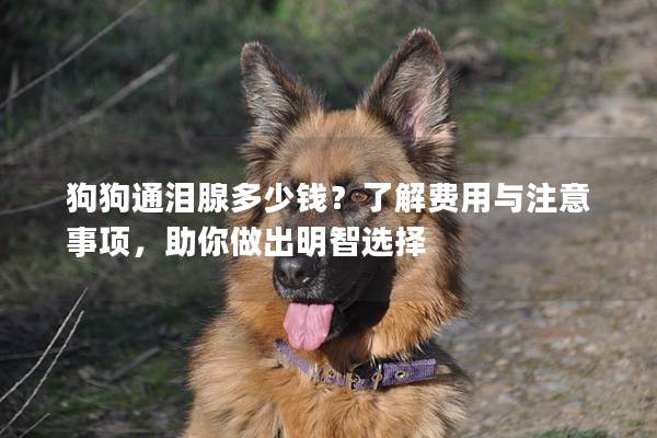 狗狗通泪腺多少钱？了解费用与注意事项，助你做出明智选择