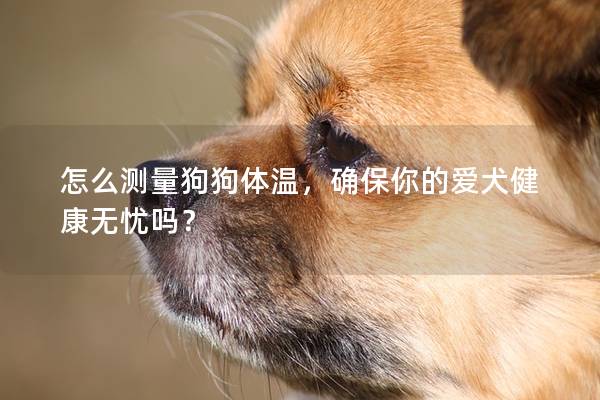 怎么测量狗狗体温，确保你的爱犬健康无忧吗？
