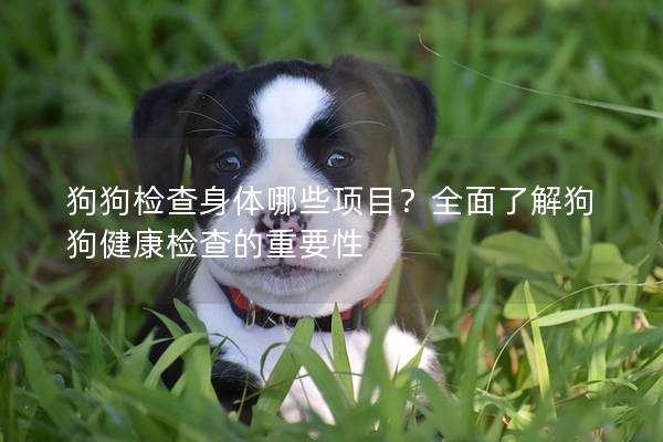 狗狗检查身体哪些项目？全面了解狗狗健康检查的重要性