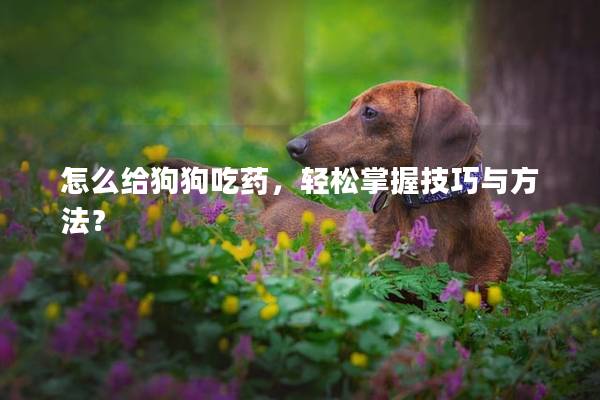 怎么给狗狗吃药，轻松掌握技巧与方法？