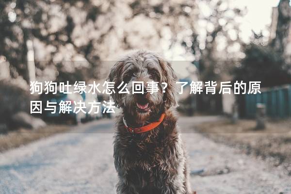 狗狗吐绿水怎么回事？了解背后的原因与解决方法