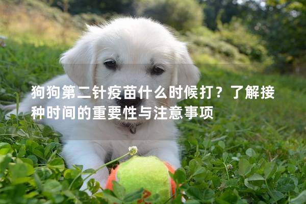 狗狗第二针疫苗什么时候打？了解接种时间的重要性与注意事项