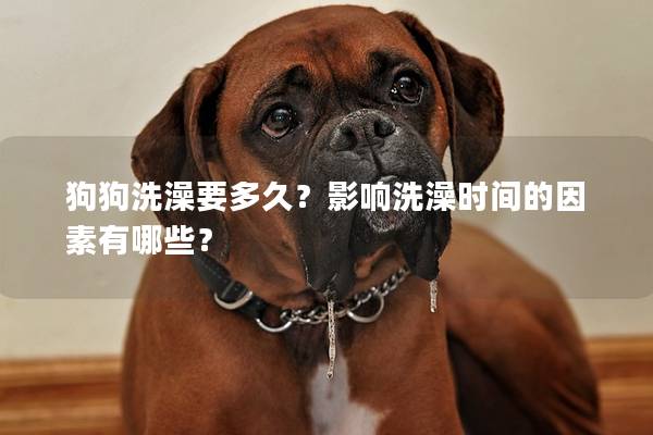 狗狗洗澡要多久？影响洗澡时间的因素有哪些？