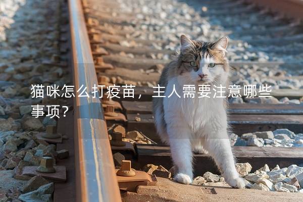 猫咪怎么打疫苗，主人需要注意哪些事项？