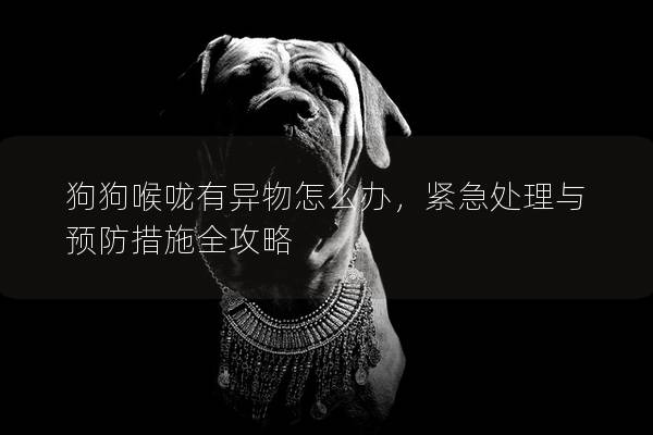 狗狗喉咙有异物怎么办，紧急处理与预防措施全攻略