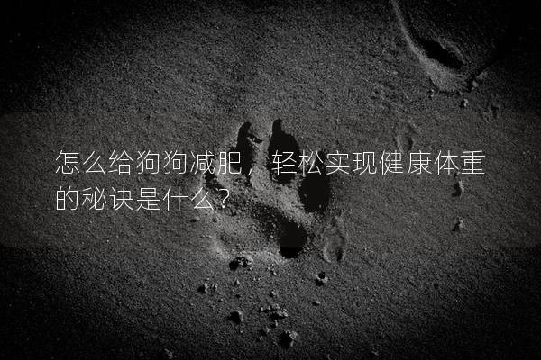 怎么给狗狗减肥，轻松实现健康体重的秘诀是什么？
