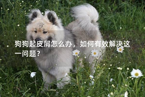 狗狗起皮屑怎么办，如何有效解决这一问题？