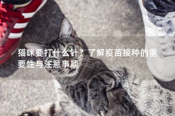 猫咪要打什么针？了解疫苗接种的重要性与注意事项