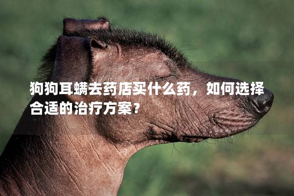 狗狗耳螨去药店买什么药，如何选择合适的治疗方案？