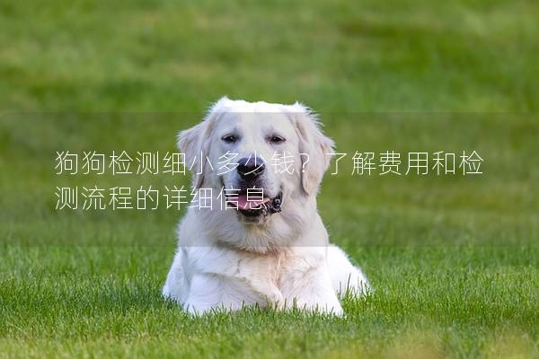 狗狗检测细小多少钱？了解费用和检测流程的详细信息