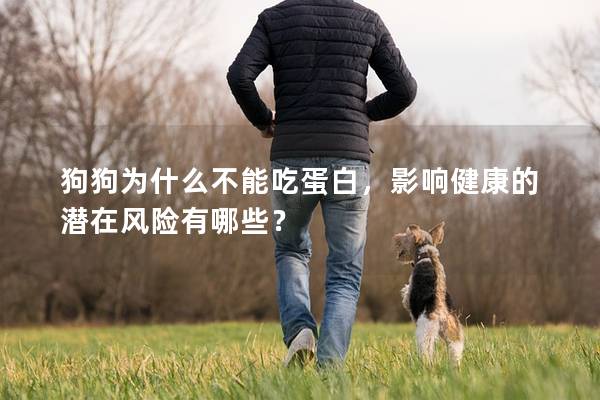 狗狗为什么不能吃蛋白，影响健康的潜在风险有哪些？