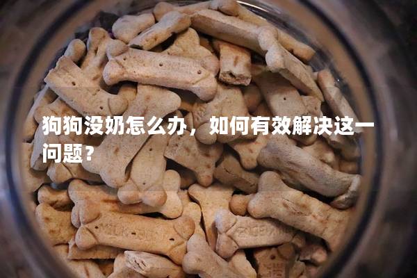 狗狗没奶怎么办，如何有效解决这一问题？
