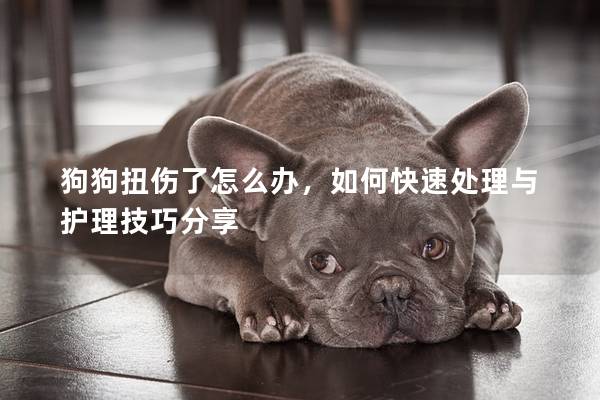 狗狗扭伤了怎么办，如何快速处理与护理技巧分享