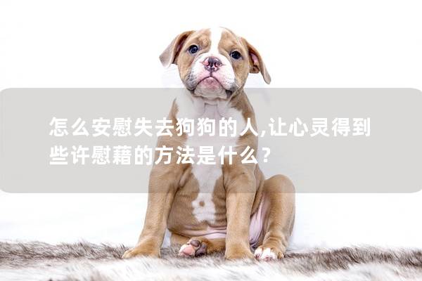 怎么安慰失去狗狗的人,让心灵得到些许慰藉的方法是什么？