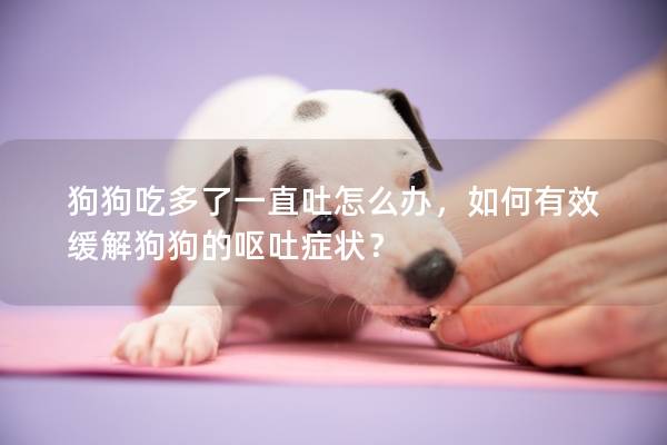 狗狗吃多了一直吐怎么办，如何有效缓解狗狗的呕吐症状？