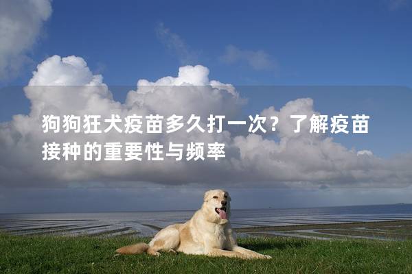 狗狗狂犬疫苗多久打一次？了解疫苗接种的重要性与频率