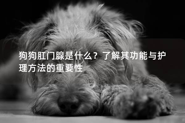 狗狗肛门腺是什么？了解其功能与护理方法的重要性