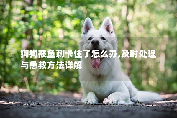 狗狗被鱼刺卡住了怎么办,及时处理与急救方法详解
