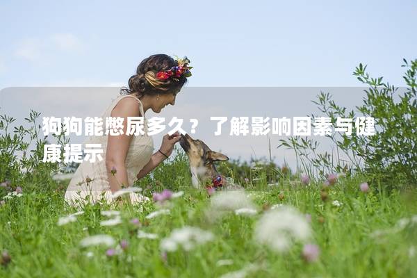 狗狗能憋尿多久？了解影响因素与健康提示