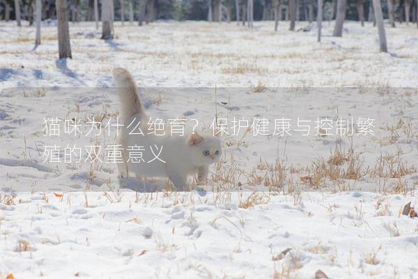 猫咪为什么绝育？保护健康与控制繁殖的双重意义