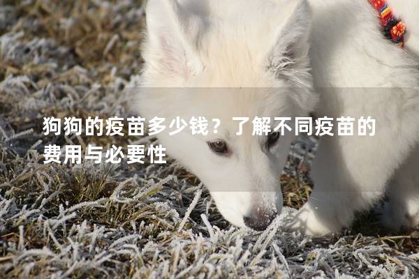 狗狗的疫苗多少钱？了解不同疫苗的费用与必要性
