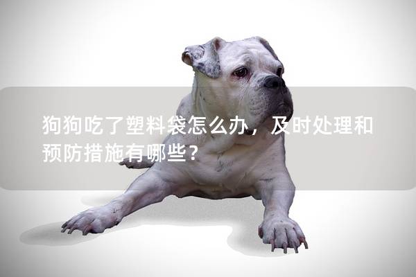 狗狗吃了塑料袋怎么办，及时处理和预防措施有哪些？