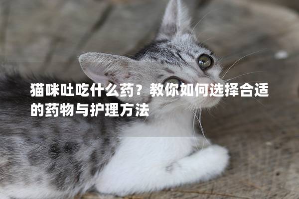 猫咪吐吃什么药？教你如何选择合适的药物与护理方法