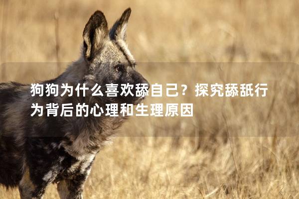 狗狗为什么喜欢舔自己？探究舔舐行为背后的心理和生理原因